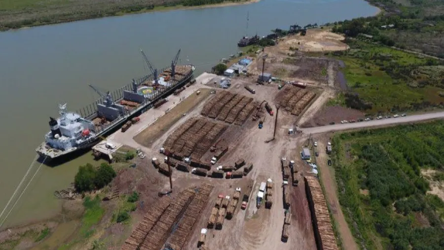 Durante 2020, casi 500 mil toneladas de madera partieron rumbo a China desde Ibicuy Durante 2020, casi 500 mil toneladas de madera partieron rumbo a China desde Ibicuy