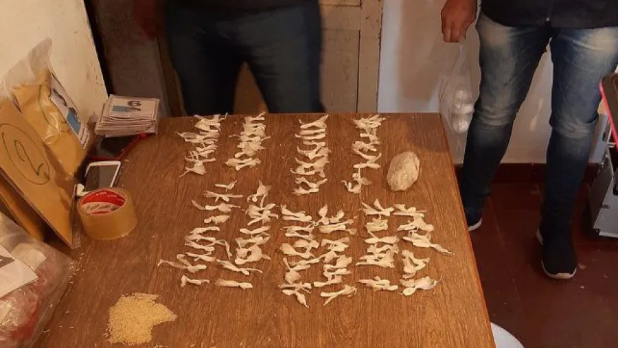 Allanamientos Allanamientos