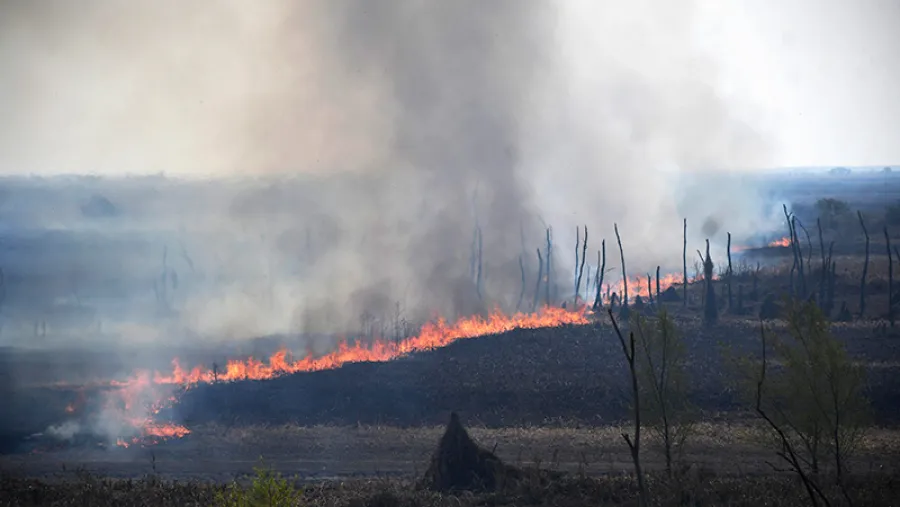 Incendio. Incendio.
