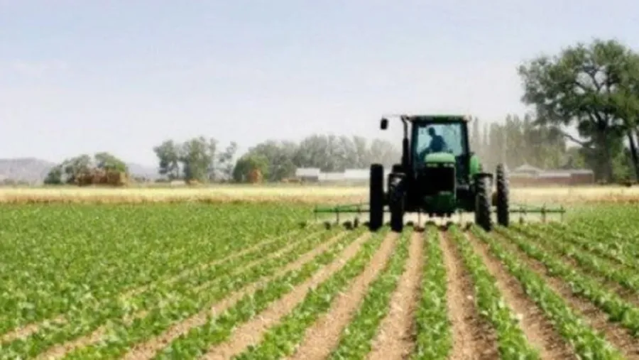 Censo agropecuario Censo agropecuario