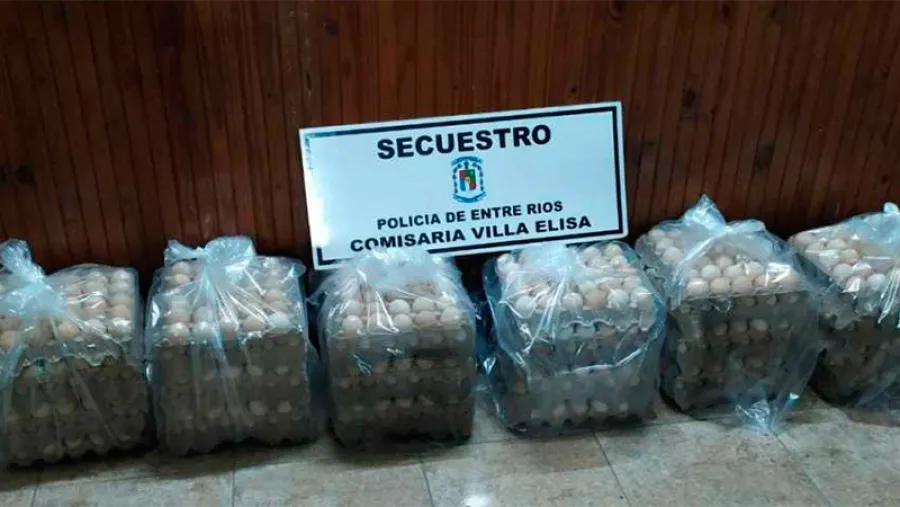 Robo Robo