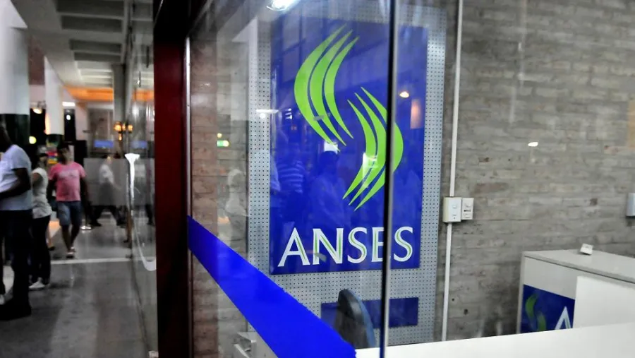 Anses. Anses.