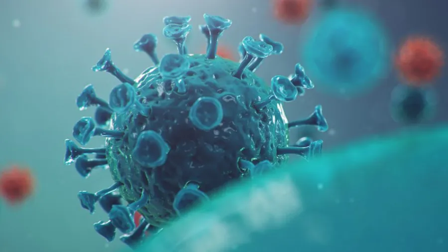 Coronavirus. Coronavirus.