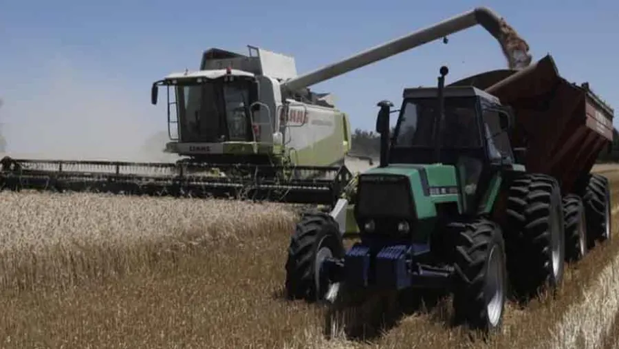 Campo. Campo.