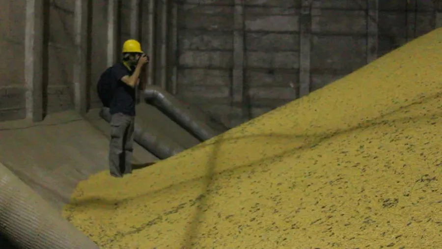 “Viaje fotográfico a los pueblos fumigados” “Viaje fotográfico a los pueblos fumigados”