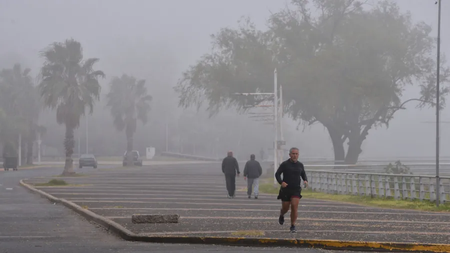 Neblina Neblina