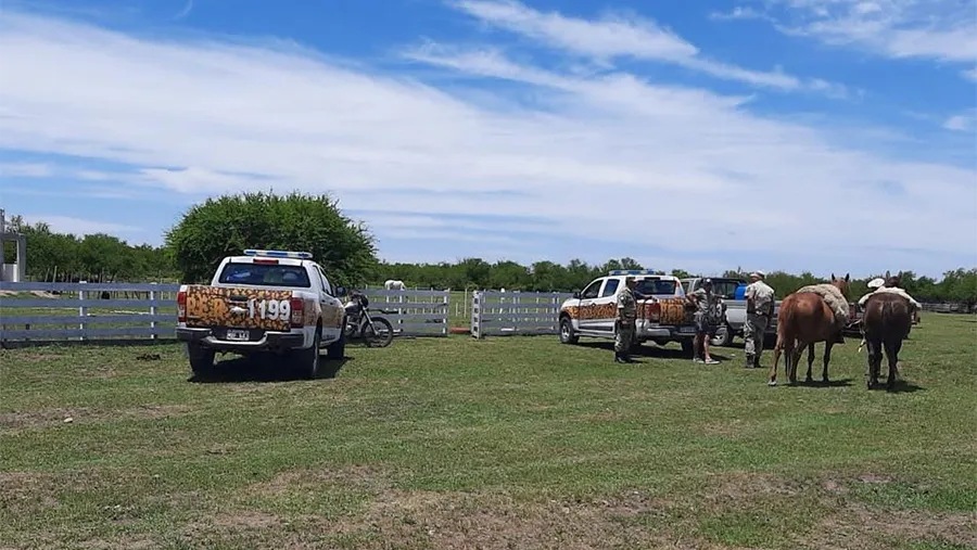Los veinte caballos secuestrados fueron entregados en carácter de depósito judicial. Los veinte caballos secuestrados fueron entregados en carácter de depósito judicial.