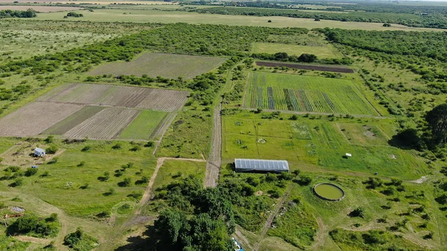 La Reserva Las Piedras se está convirtiendo en un modelo de producción agroecológica, sustentable y con un alto rendimiento. (Fotografía Sebastián Ingrassia). La Reserva Las Piedras se está convirtiendo en un modelo de producción agroecológica, sustentable y con un alto rendimiento. (Fotografía Sebastián Ingrassia).
