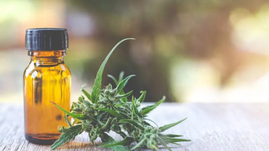 aceite de cannabis aceite de cannabis