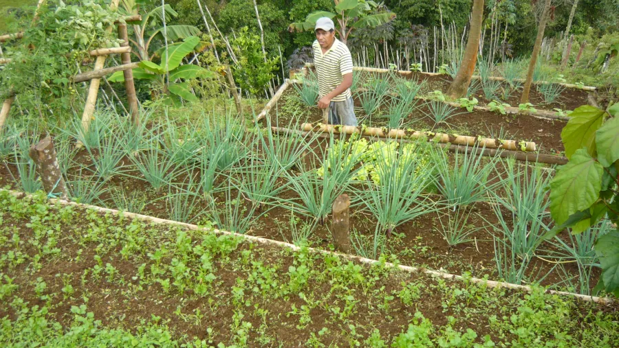 agroecología agroecología