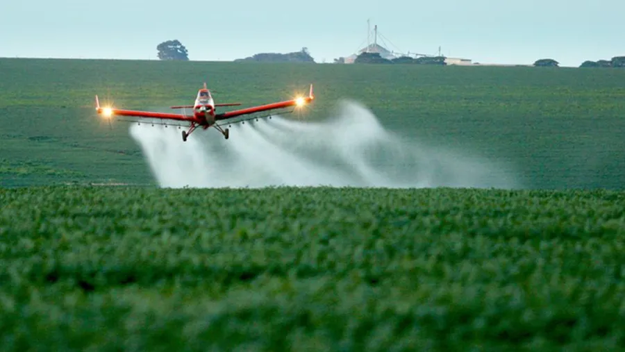 Fumigaciones Fumigaciones