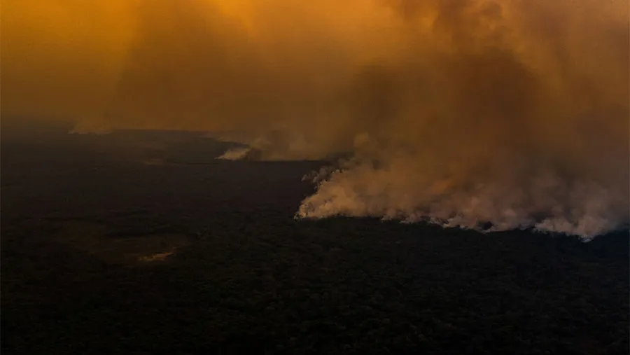 Los incendios arrasaron el Norte del Pantanal, en el Estado de Mato Grosso. Los incendios arrasaron el Norte del Pantanal, en el Estado de Mato Grosso.