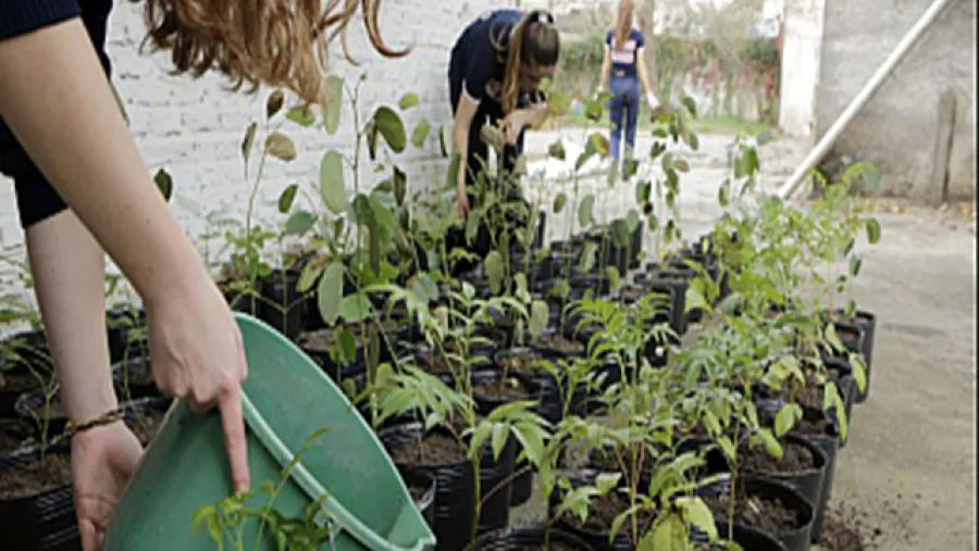 Urdinarrain desarrolla actividades en la semana del Ambiente Urdinarrain desarrolla actividades en la semana del Ambiente