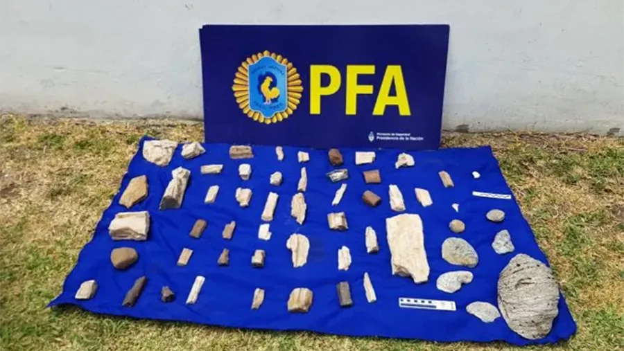 La Policía Federal allanó una casa de antigüedades ubicada en Villa Libertador San Martín. El descargo del comercio es que las habría comprado en Paraguay. La Policía Federal allanó una casa de antigüedades ubicada en Villa Libertador San Martín. El descargo del comercio es que las habría comprado en Paraguay.