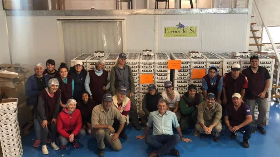 Una empresa de Concordia concretó el primer embarque de arándanos a Israel Una empresa de Concordia concretó el primer embarque de arándanos a Israel
