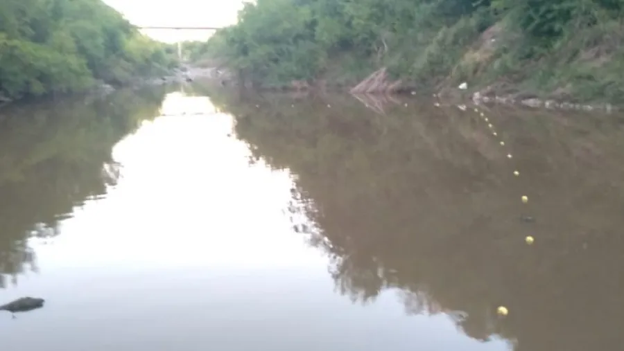 Vecinos denunciaron una red de pesca ilegal en Arroyo Doll piden por un área protegida Vecinos denunciaron una red de pesca ilegal en Arroyo Doll piden por un área protegida
