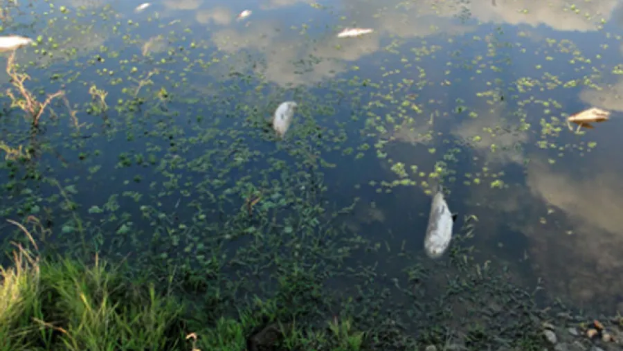 Investigarán posible lavado de activos en la contaminación de Citric Chajarí Investigarán posible lavado de activos en la contaminación de Citric Chajarí