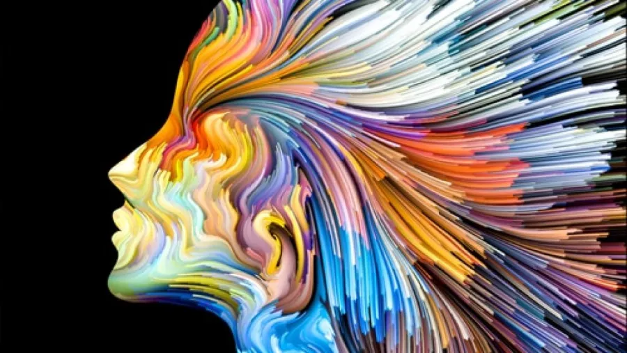 Imagen ilustrativa Imagen Ilustrativa