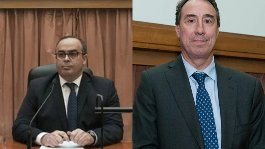 Bertuzzi y Llorens
