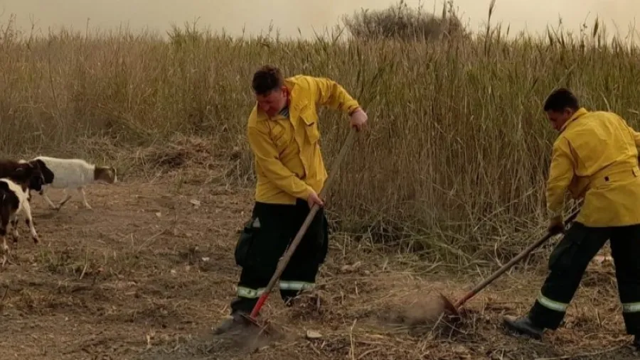 Con operativos en Santa Fe y Buenos Aires continúa el combate de incendios en el Delta Con operativos en Santa Fe y Buenos Aires continúa el combate de incendios en el Delta
