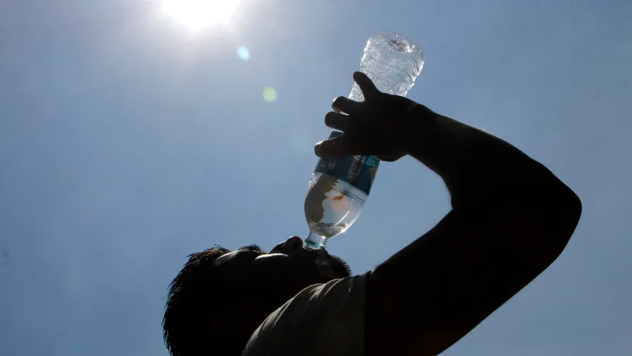 Calor