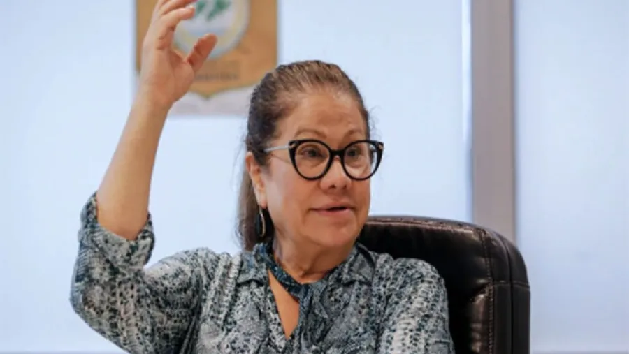 Graciela Camaño Graciela Camaño