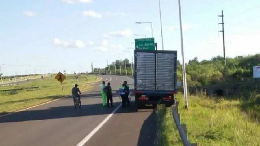 Camionero Camionero