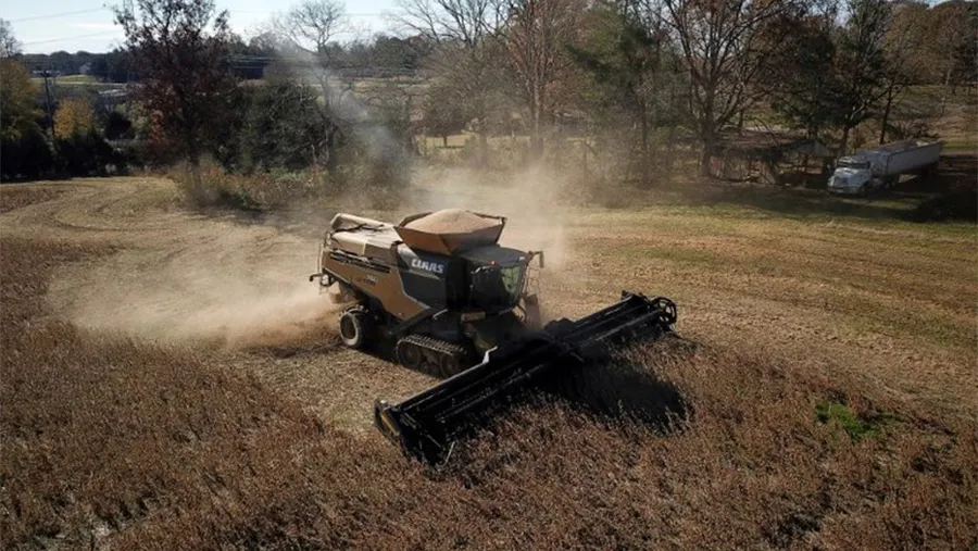 Un recorrido por las diferentes producciones permite conocer el estado actual del campo argentino, con datos estimados al presente mes y que fueron aportados por Coninagro. Un recorrido por las diferentes producciones permite conocer el estado actual del campo argentino, con datos estimados al presente mes y que fueron aportados por Coninagro.