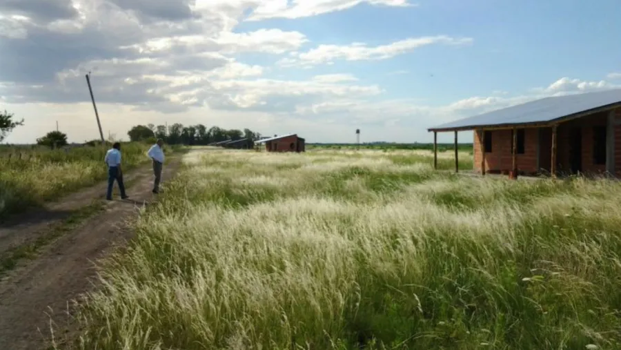 Campo expropiado a Yedro Campo expropiado a Yedro