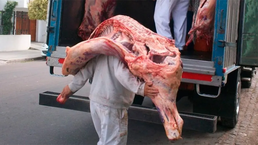 Trabajadores de la carne ya no podrán descargar medias reses "al hombro" Trabajadores de la carne ya no podrán descargar medias reses "al hombro"