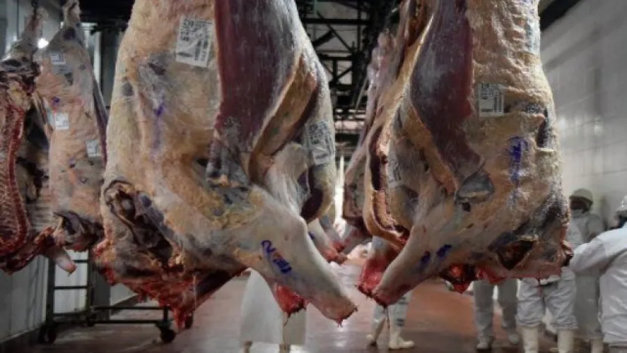 El Ministerio de Agricultura suspendió la operación de 12 empresas exportadoras de carne El Ministerio de Agricultura suspendió la operación de 12 empresas exportadoras de carne