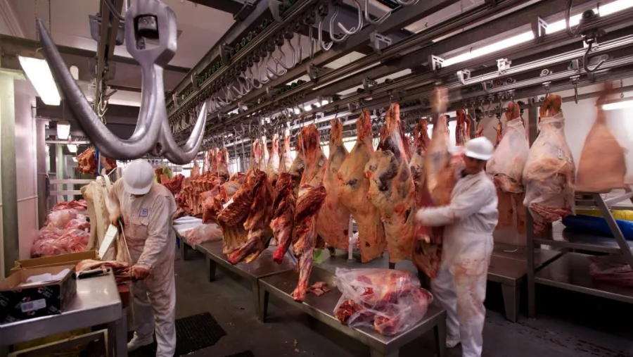 Exportación de carne. Exportación de carne.