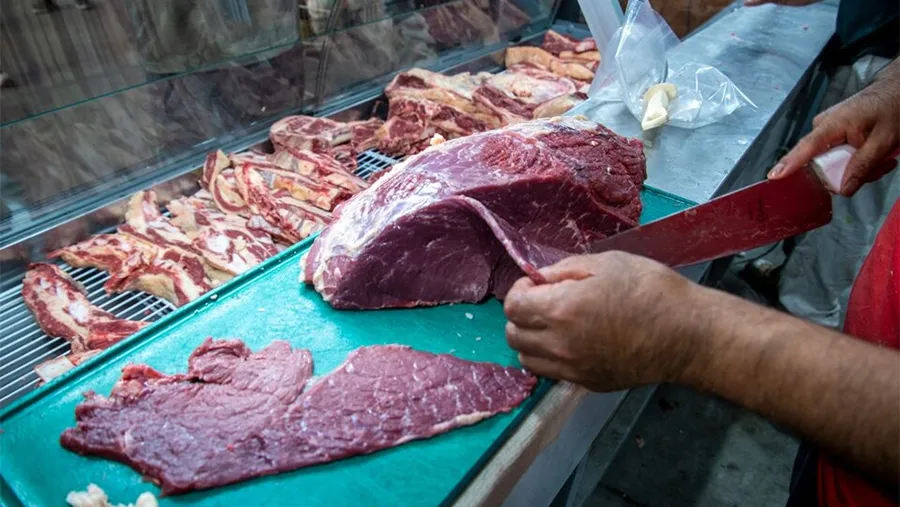 La primera etapa irá del 7 de febrero al 7 de abril. La primera etapa irá del 7 de febrero al 7 de abril.