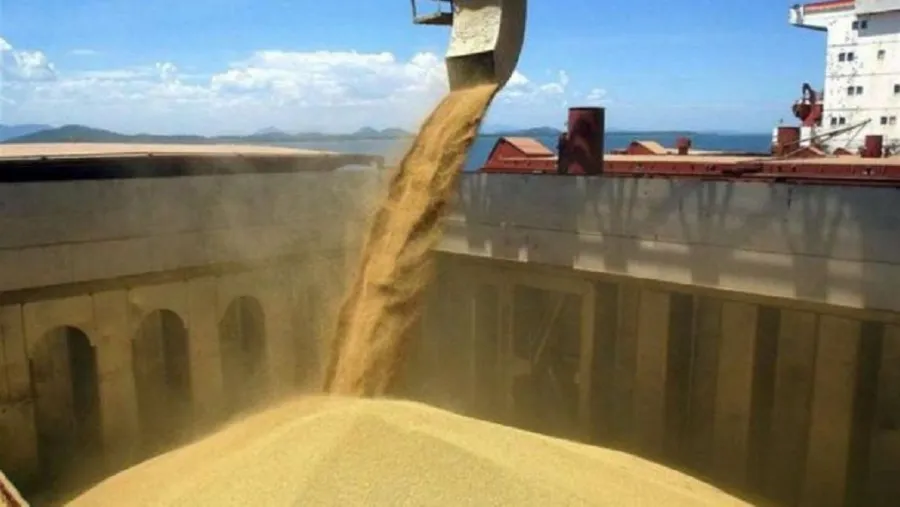 Cerealeras Cerealeras