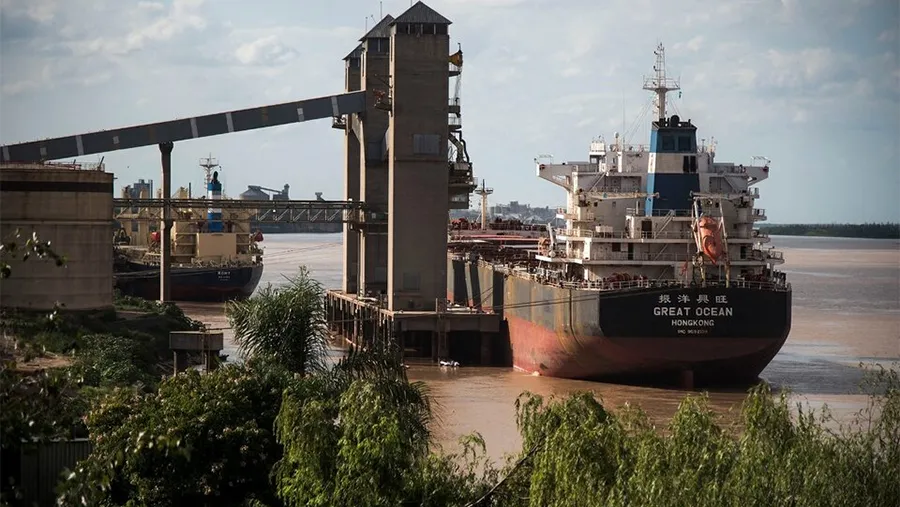 Fuerte rechazo de los exportadores a la medida. Esta vez, los productores conformes. Fuerte rechazo de los exportadores a la medida. Esta vez, los productores conformes.