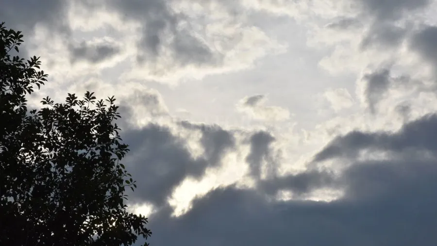 Cielo Cielo