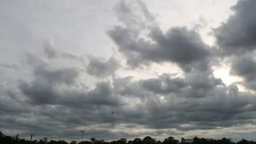Cielo Cielo