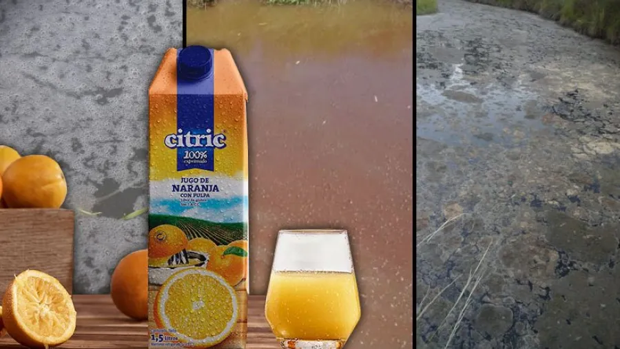Jugos Cítric Jugos Cítric