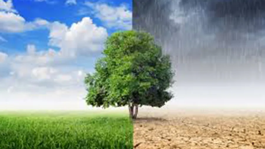 En las próximas semanas más de 190 países convocados por Naciones Unidas, se encontrarán en la reunión anual denominada COP-25, donde el cambio climático será el tema central. En las próximas semanas más de 190 países convocados por Naciones Unidas, se encontrarán en la reunión anual denominada COP-25, donde el cambio climático será el tema central.