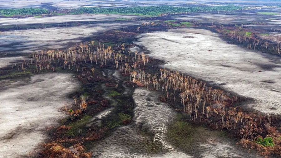 El Ministerio de Ambiente de la Nación realizará desde el lunes 22 al viernes 26, una serie de actividades en modalidad virtual para tomar consciencia sobre las implicancias del cambio climático. El Ministerio de Ambiente de la Nación realizará desde el lunes 22 al viernes 26, una serie de actividades en modalidad virtual para tomar consciencia sobre las implicancias del cambio climático.