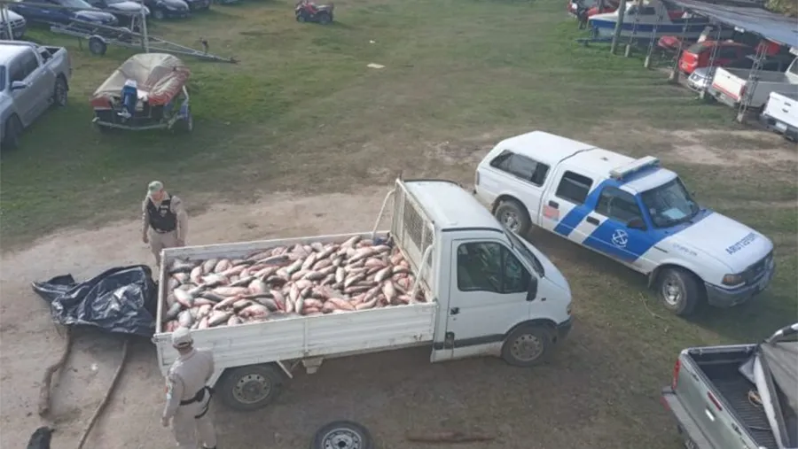 El contrabando se detectó el 1° de junio en la salida del arroyo Sagastume al ingreso de Villa Paranacito, en el Departamento Islas del Ibicuy. El contrabando se detectó el 1° de junio en la salida del arroyo Sagastume al ingreso de Villa Paranacito, en el Departamento Islas del Ibicuy.