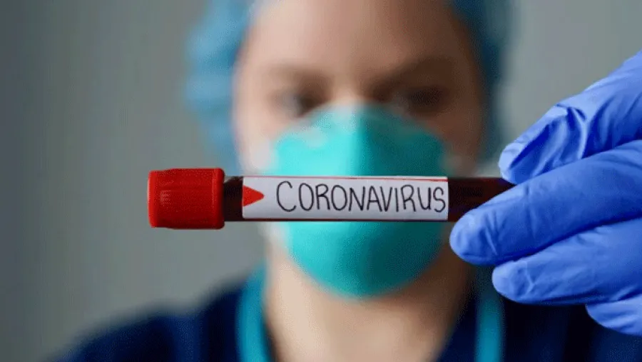 Coronavirus. Coronavirus.