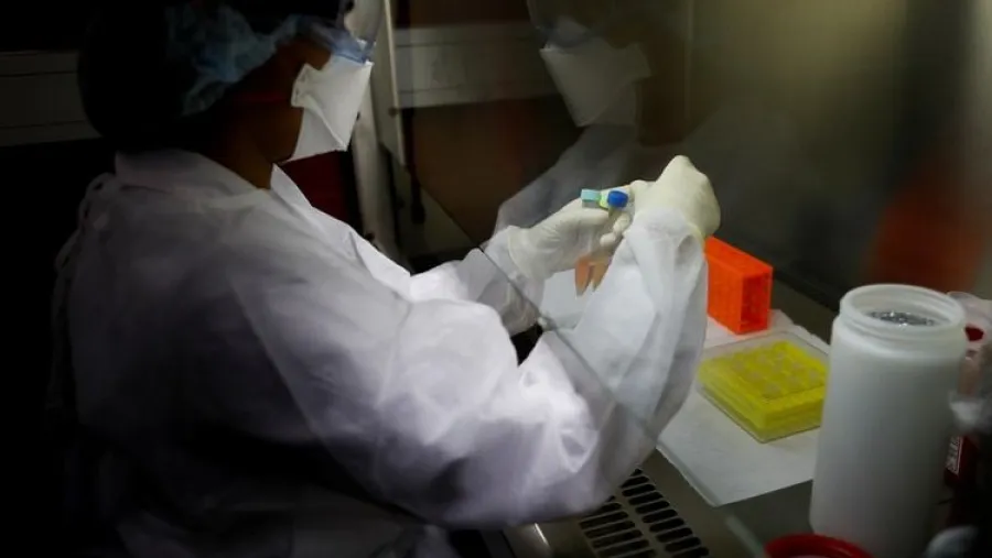 coronavirus coronavirus