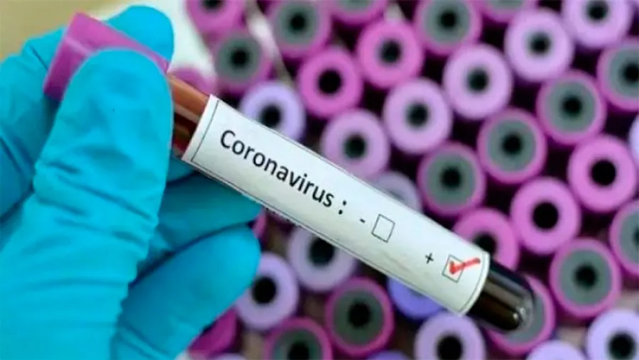 coronavirus coronavirus