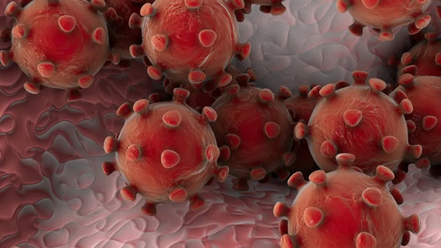 coronavirus coronavirus