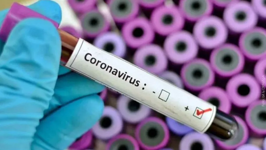 coronavirus coronavirus