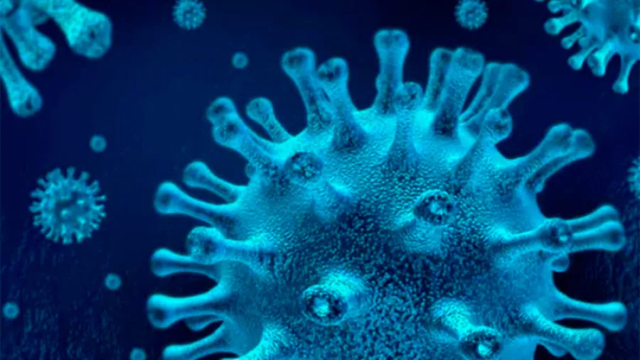 coronavirus célula coronavirus célula