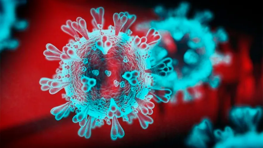 coronavirus célula coronavirus célula