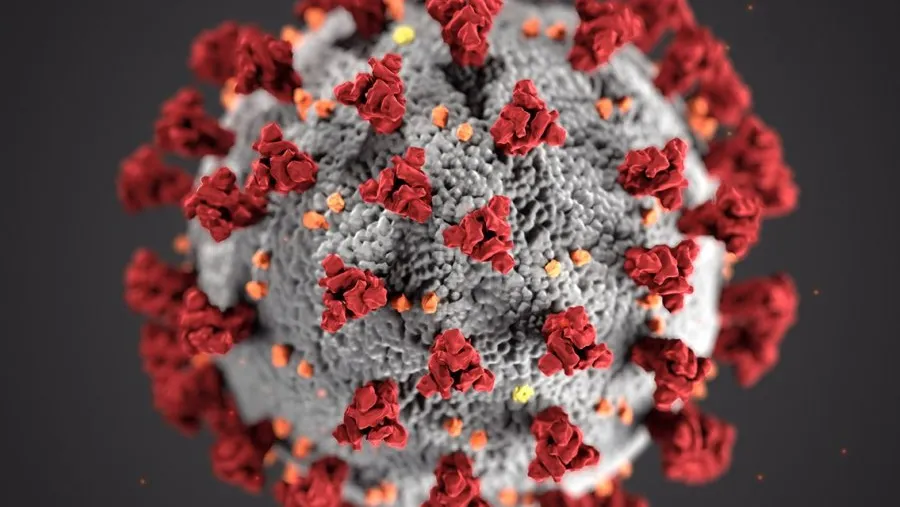 coronavirus coronavirus