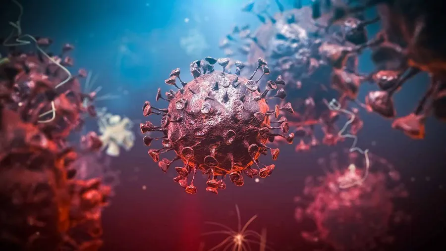 coronavirus célula coronavirus célula